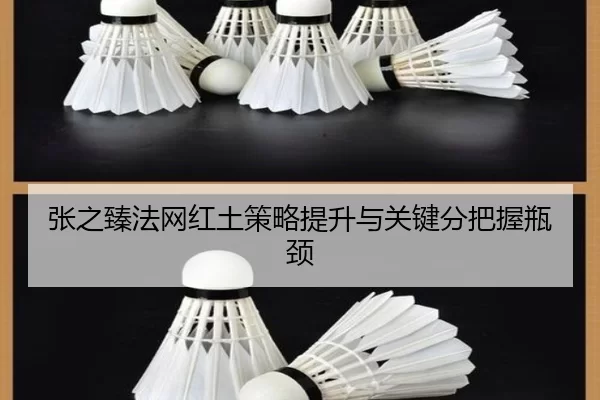 张之臻法网红土策略提升与关键分把握瓶颈