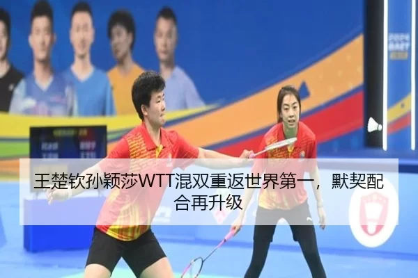 wang-chu-qin-sun-ying-sha-hun-shuang-chong-fan-shi-jie-di-yi-mo-qi-pei-he-zai-sheng-ji-2-391.jpg